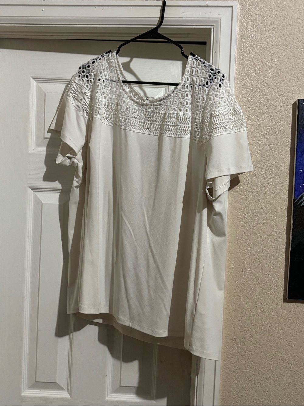 Dex Crochet Yoke Short Sleeve Top - White